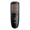 Micrófono Akg P220 Condensador Cardioide Negro